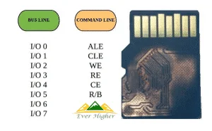 Sandisk 8GB Mirco SD Card Data Recovery Service