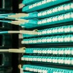 pexels-brett-sayles-2425567