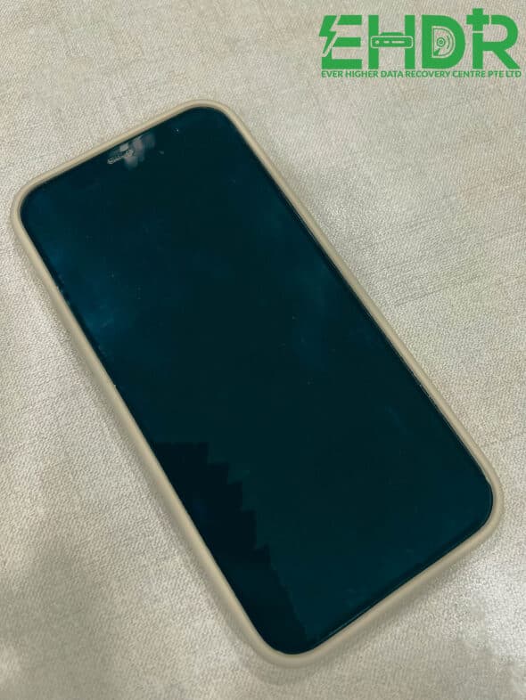 iPhone 12 Pro Stuck on The Apple Logo • Data Recovery Service & Data