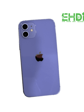 8th Sept Stuck at Apple Logo data recovery singapore