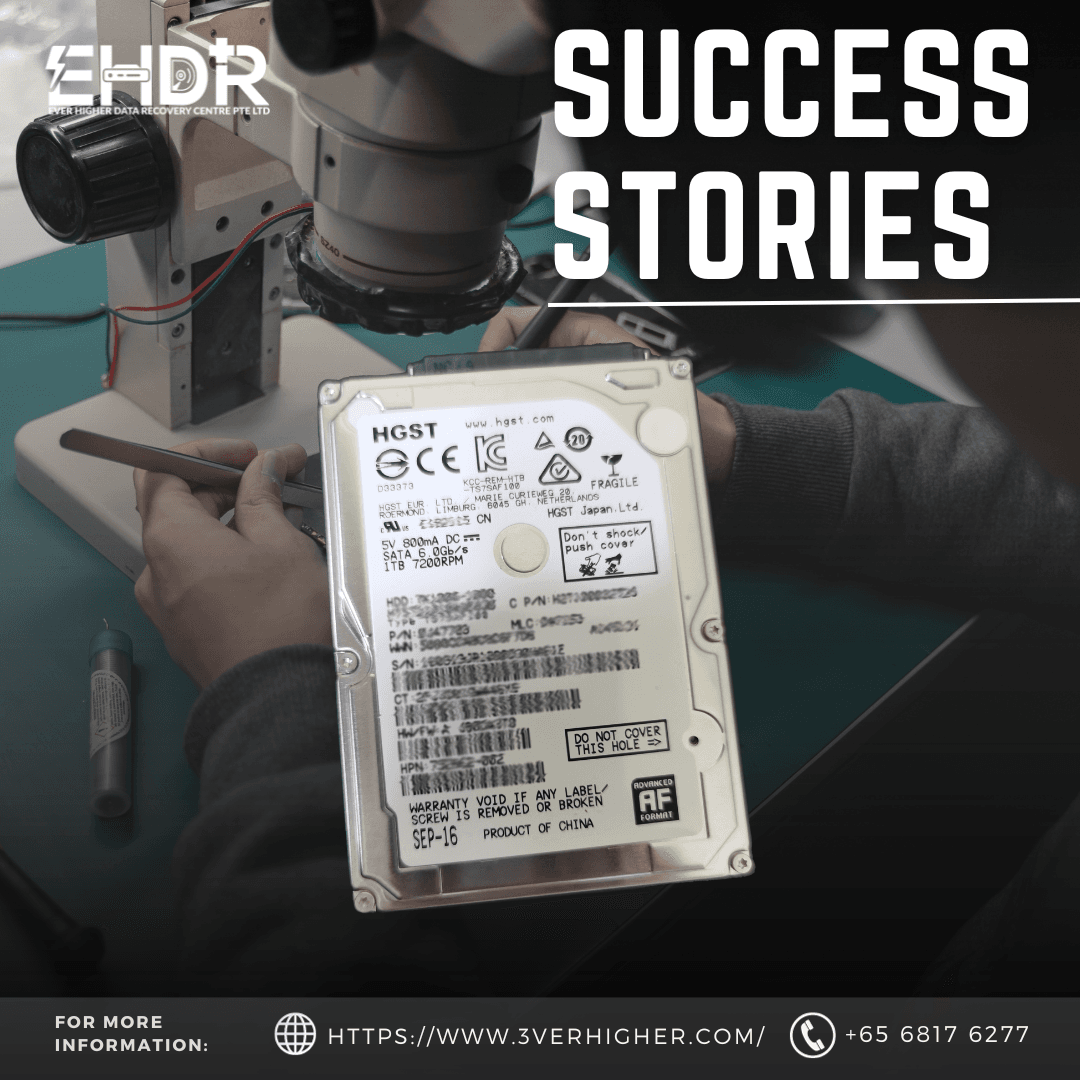 Professional Hard Disk Recovery: A Successful Case Study