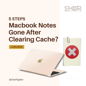 Macbook Notes Gone After Clearing Cache?1