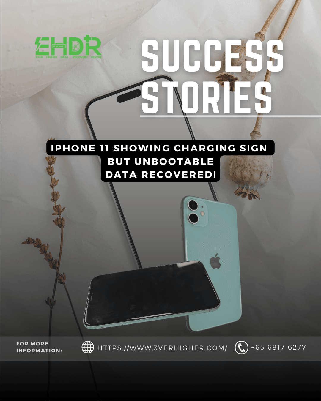iPhone 11 that showed the charging sign but cannot boot up