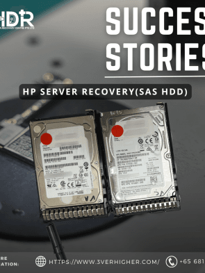 HP Server Recovery (SAS HDD)