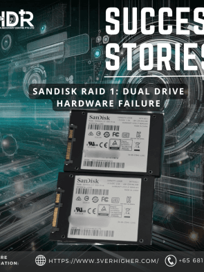 WP 70504 SanDisk RAID 1 Dual Drive Hardware Failure